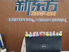 -新东方成人英语学习考试·口语·商务(延安路校区)