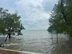 -宝安西湾红树林湿地公园