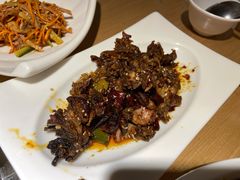 -守柴炉烤鸭(科华中路王府井店)