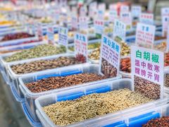 -蒲河大集