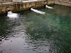 -教师之家赵家羊汤馆(东青龙街店)