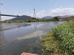 -芒洲湿地公园
