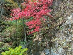 -九鼎铁刹山风景区
