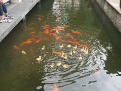 -浙江省博物馆(孤山馆区)