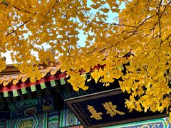 -千佛山风景名胜区