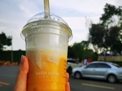 杨枝甘露瑞纳冰-瑞幸咖啡(经开万达广场店)