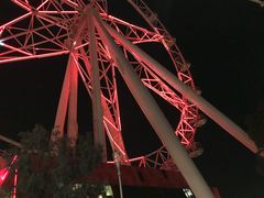 -墨尔本之星 观景摩天轮