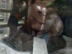 -藦茜花园宠物主题亲子互动体验馆(国顺东路店)
