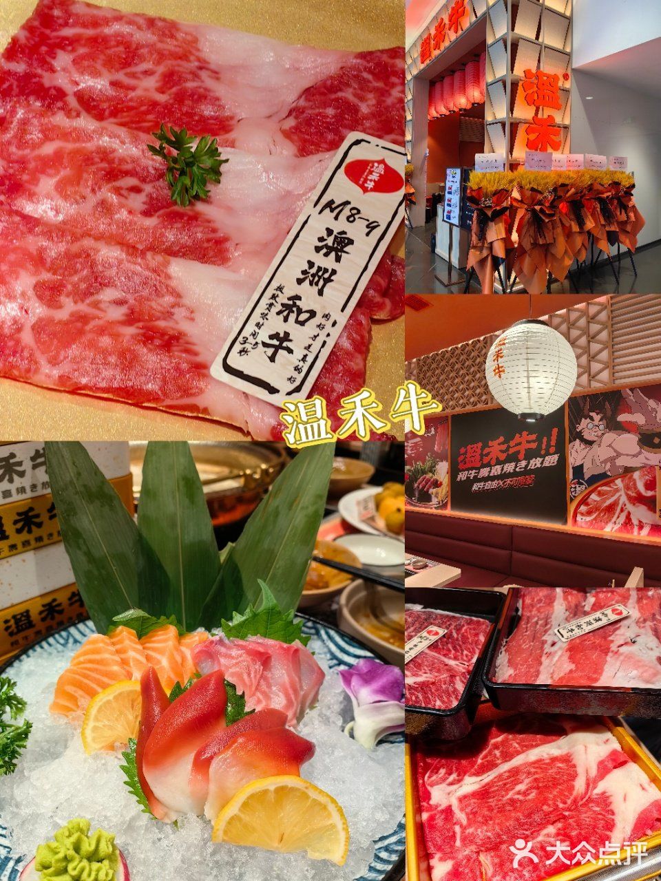 好肉好锅好心情，寿喜烧自助更尽兴🌠