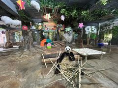 -海南热带野生动植物园