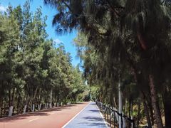 -坛南湾阿强农家乐.海鲜大排档老字号(福州地标美食店)