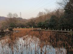 -八卦田遗址公园