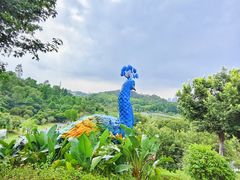 -东莞植物园