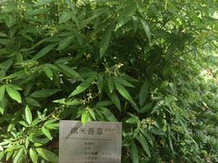 -广州神农草堂中医药博物馆