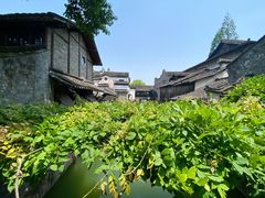 -乌镇西栅景区