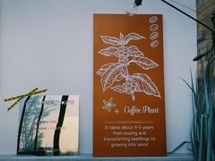 门面-Vanilla Specialty Coffee(八大关店)