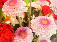 -木王宴语·野生鲜菌火锅(玉河店)