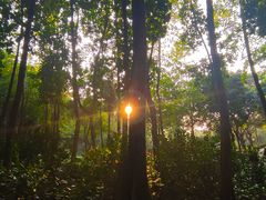 -云溪植物园