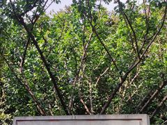 -长江路历史文化街区