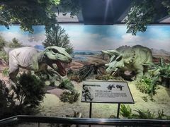 -国家自然博物馆