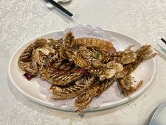 爬爬虾-温岭人家(红花北路店)