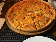 -百好乐宠物友好餐厅(朝外大街店)