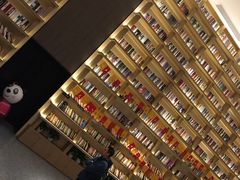 -深影国际影城(学院南路店CGS中国巨幕店)