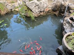 -贡湖湾湿地公园