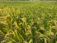 -杭州六谷生态休闲农庄有限公司