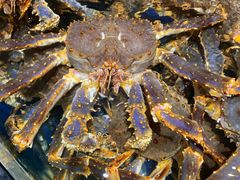 -海景壹号大酒店(滨湖店)