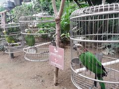 -南宫五洲植物乐园