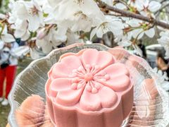 -珈境湖畔餐厅·湖北菜·江浙菜•樱花季(西北湖店)