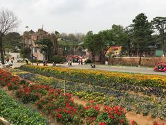 -松山湖梦幻百花洲