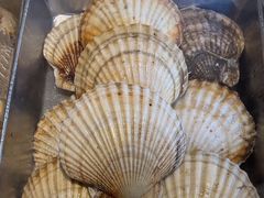 -KAOKAO烤烤·丹东海鲜烧烤(望京店)