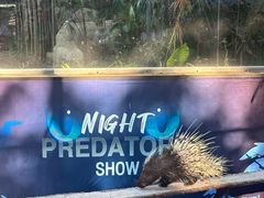 -清迈夜间动物园