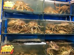 水产区-蚝专家(北滘店)