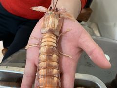 -盛华世家商业广场农贸水产综合批发市场