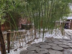 -洛阳白马寺