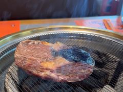-杨小佳·齐齐哈尔烤肉·烤串(广州店)