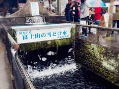 -富士山吉田線五合目
