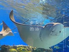 -海合安成都极地海洋公园