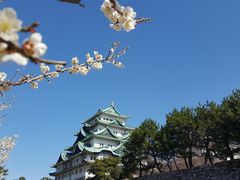 -名古屋城