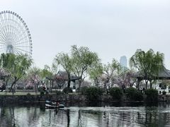 -无锡蠡湖国家湿地公园-蠡园