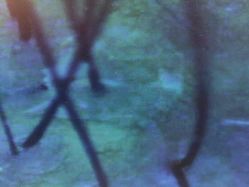 -雍禾植发全国连锁