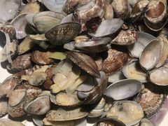 -小螺号海鲜·地道鲁菜(泉城广场店)