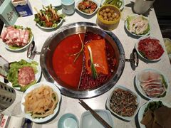 -卤教授老火锅