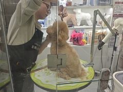 -它主义宠物(梁溪万达店)