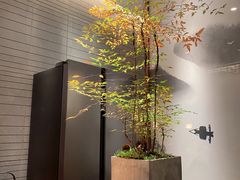 -王府茶楼茶宴·创意菜(朝阳公园店)
