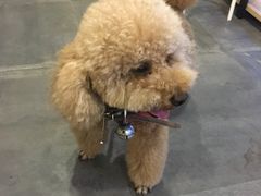 -沙青(江场二路店)