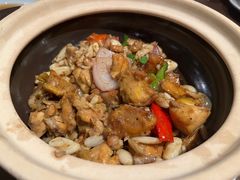 砂锅啫牛蛙煲-新旺茶餐厅(嘉里城店)